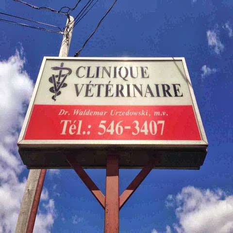 Acton Veterinary Clinic